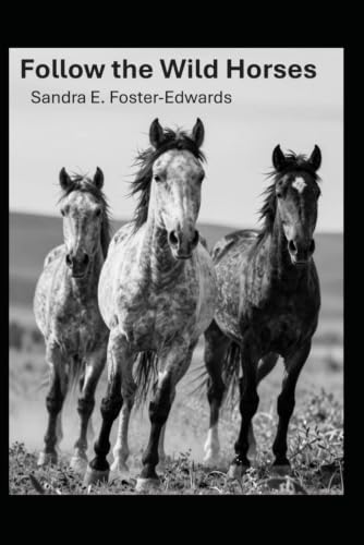 Follow the Wild Horses
