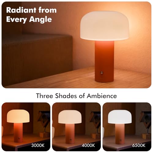 Image of Table Lamp for Bedroom, Study Table & Living Room | Small Metallic Finish Night Lamp with Frosted Dome Diffuser | Bedside Lamp, Desk Light & Home Decor Gift (Dome, Orange)