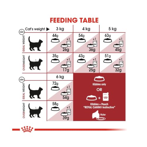 Image of Royal Canin Fit 32 Regular for Adult Cats, 400 Grams, Dry Food, Supports Optimal Nutrient Profile and Healthy Weight