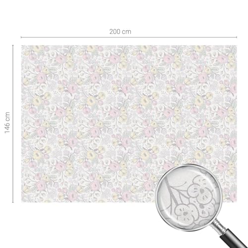 Film vitrail protection intimité anti-regards pour de grandes fenêtres lumineuses - 5