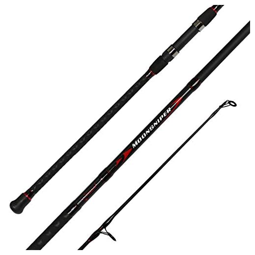 Fiblink Surf Spinning Fishing Rod 2-Piece Carbon Travel Fishing Rod (Length: 10')