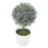 Plante de simulation en pot - 🌿【arrangement floral artificiel】: parfait à afficher sur le centre de table. il peut être utilisé comme décorations pour les meubles et l'environnement de bureau. vous pouvez facilement profiter de la beauté de la nature dans n'importe quel endroit comme une chambre, un salon, une salle de bain, une cuisine, un balcon, une étagère, un hall d'entrée, etc.