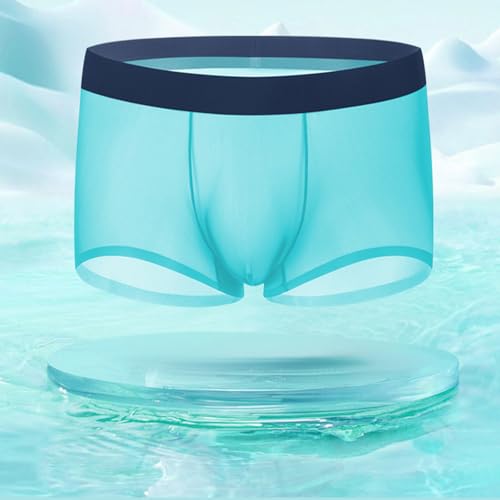 Niksy Underwear, Men's Transparent Breathable Briefs, Niksy Mens Ultra-Thin Ice Silk Transparent Boxer Briefs4