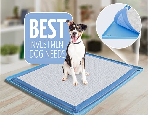 Image of Skywin TidyFriend Pee Pad Holder Tray for 30 x 23 InchesPeepad with Corner Clips, 2 Pack Silicone Dog Potty Tray, Easy to Clean No Spill Dog Potty Training Pad Holder (Blue)