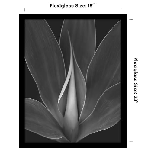 Americanflat 18x23 Poster Frame with Polished Plexiglass - Black Picture Frame - Wide Photo Frames Made of Engineered Wood for Vertical or Horizontal Wall Display - Epic Collection - Black