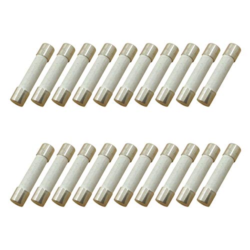 Image of (Pack of 20) 20 Amp 250V Microwave Slow-Blow Time Delay Fuse Ceramic 6x30mm Compatible and Universal Replacement for GE WB27X10388 and Whirlpool Kenmore Other Microwaves
