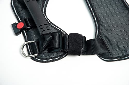 DogMaster 2.0 Hundesicherheitsgurt, schwarz/Black, Größe XL