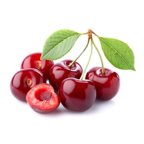 Image of Fresh Cherry Premium,100 gm Pack