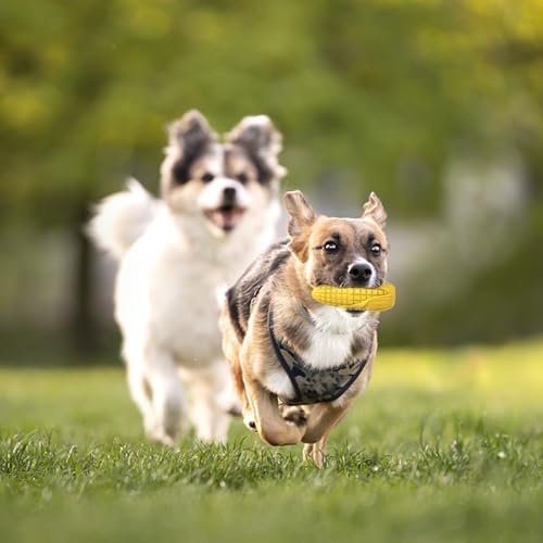 Image of Dog Chew Toys for Aggressive Chewers,Idestructible Tough Durable Squeaky Interactive Dog Toys,Durable Dog Teeth Cleaning Toy for Medium Large Breeds,Corn Stick Toy (Yellow)