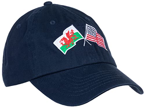 Image of Ann Arbor T-shirt Co. American Friendship Nations Flag Baseball Low Profile Dad Hat for Men Women