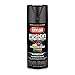 Krylon K02782007 Fusion All-In-One Spray Paint for Indoor/Outdoor Use, Hammered Black, 12 Ounce (Pack of 1)