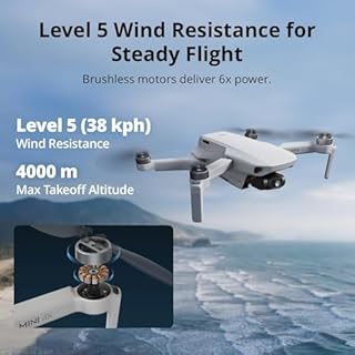 DJI Mini 4K Fly More Combo, Drone with 4K UHD Camera for Adults, Under 249 g, 3-Axis Gimbal Stabilization, 10km Video Transmission, Auto Return, 3 Batteries for 93-Min Max Flight Time, QuickShots