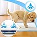 Retoo Trainingspads für Hunde & Welpen 40x60 cm, 100 Stück PIPI Matten Einweg – 6-lagig, Auslaufsicher & Saugfähig, Schnell Trocknende Oberfläche – Ideal für Inkontinenz & Stubenreinheit