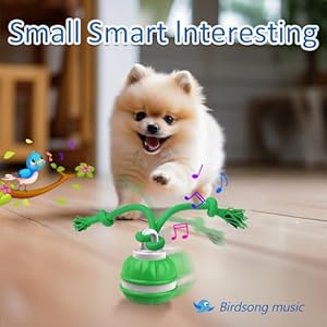 Interactive Dog Toys, Motion Activated Automatic Rolling Ball Toys, Wicked Ball, Squeaky Dog Toy for Small Dogs/Puppy…