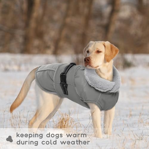 Hundejacke Kleine Hunde, Wintermantel Fleece für Hunde Hundemantel Wasserdicht Hundejacke Französische Bulldogge Warme Weste Winter Hundekleidung für Hunde(Grau, S)