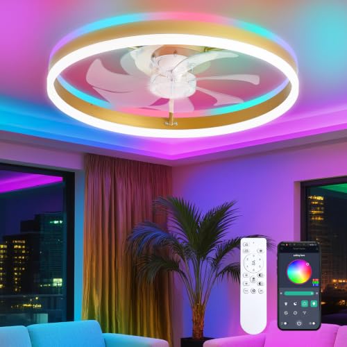 Image of 20 inch RGB Ceiling Fans with Lights and Remote /APP, Dimmable 3000-6500K LED Low Profile Ceiling Fan with Light, Modern Fandelier Flush Mount Ceiling Fan Light for Living Room, Bedroom and Kitchen