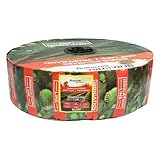 Generic B0CWFCBFG2 lato 2