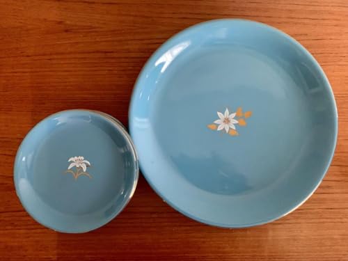 たち吉　青色花柄皿 日本製 耐熱性 たち吉 TABLEWARE 青い花柄 皿 29 3cm 2枚｜Yahoo!フリマ（旧