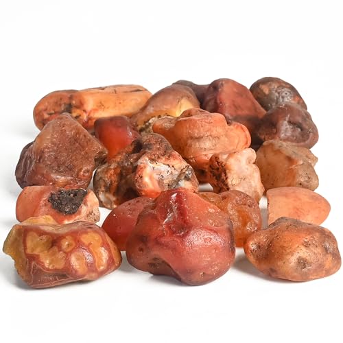Crocon 1LB Carnelian Rough Stone Bulk...
