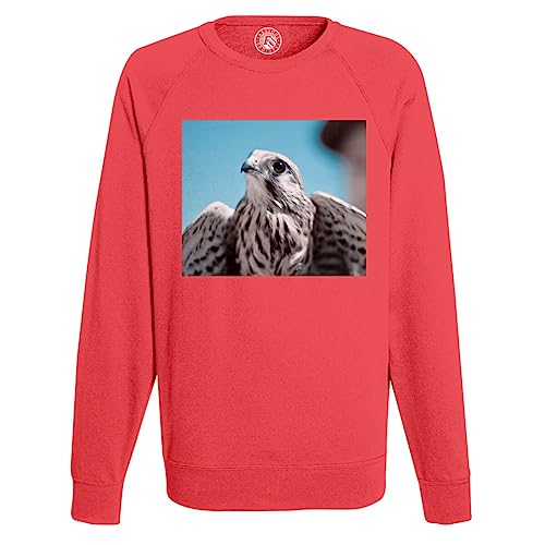 Sweat Homme Faucon Gris pour vos sorties nature et ville