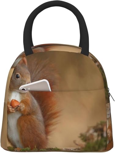 e |[^ufMobO 킢 AJX Lcl hʋC ۉ ۗ⃉`obO ϖՐ \tgN[[