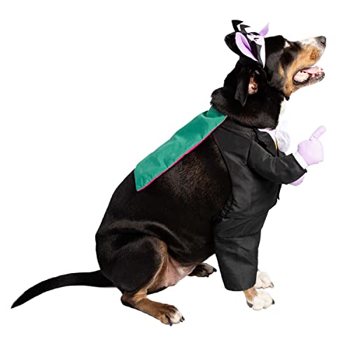 Disfraz The Count Vampiro para Perro Mediano miniatura 6