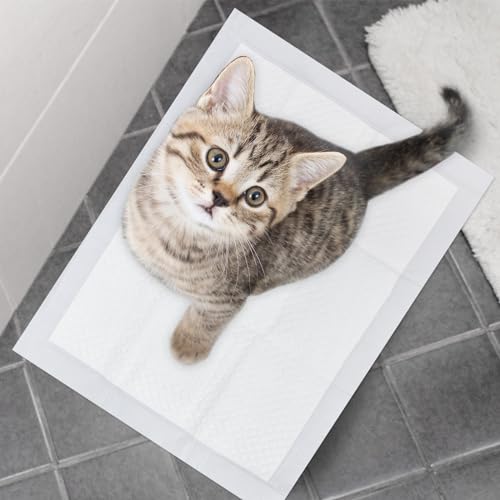 Image of Basics Dog and Puppy Pee Pads with 4-Layer Leak-Proof and Quick-Dry Design for Potty Training, 13 inch x 17 inch Ultra Absorbent Disposable Changing Pads for Small Pets -White(25 Count)