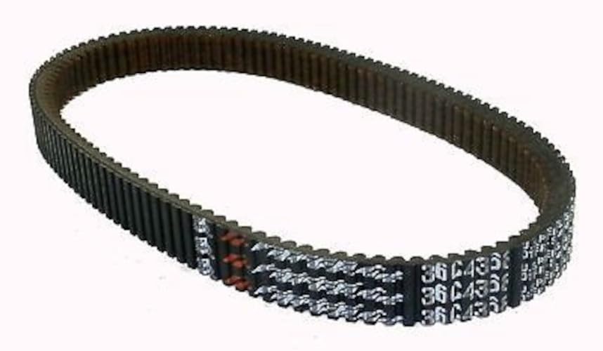 Correa Gates 36C4368 dentada para variador continuo CVT de nieve 2