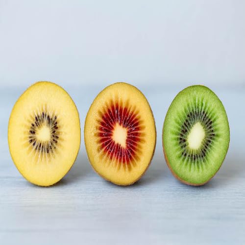 100 semi misti di kiwi