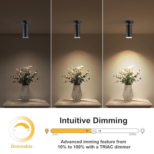 Image of 9W LED Dimmable Ceiling Spotlight Indoor - Adjustable Accent Surface Mount Spot Light for Corridor, Living Room, Plants & Artwork | Warm White 3000K CRI 97 Directional Fixture, Black Finish