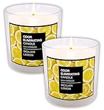 Lulu Candles | Sicilian Lemon | Odor Eliminating...
