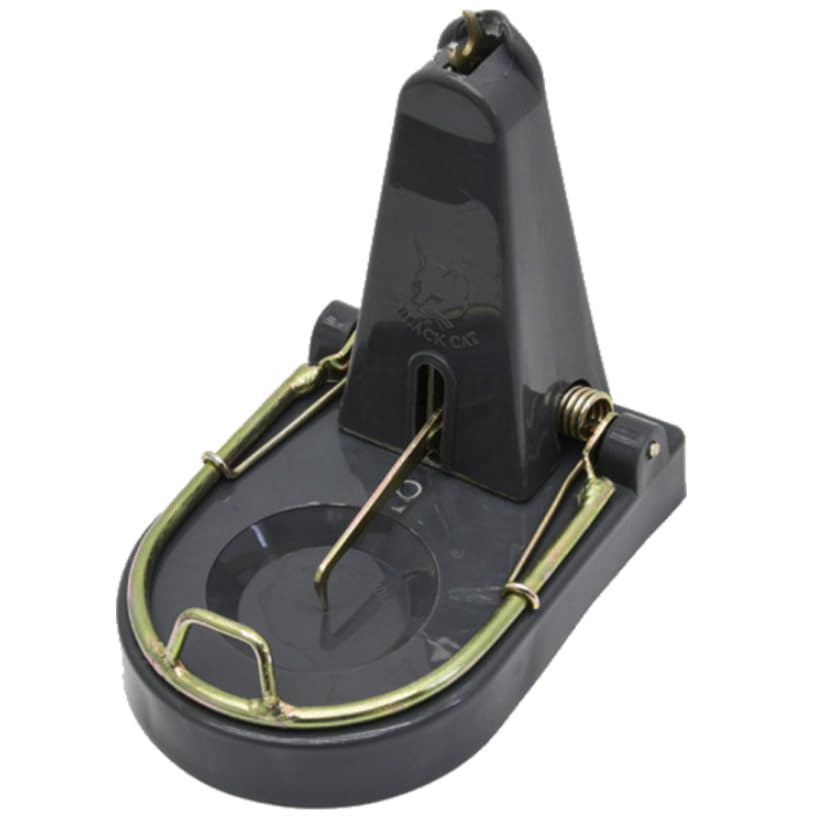 Black Cat Rat Trap