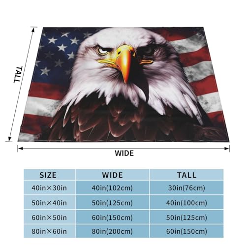 Couverture polaire chaude drapeau américain grand plaid lit et canapé - 3