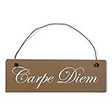 carpe diem holz silber  Deko Shabby Chic Schild Carpe Diem in braun Vintage Holz Türschild mit Draht