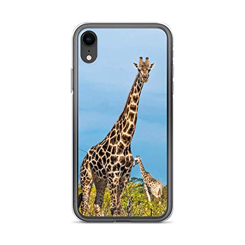 Handyhülle Jungle Dschungel kompatibel für iPhone 11 Giraffen Herde Schutz Hülle Case Bumper transparent rund um Schutz Cartoon M10