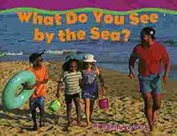 What do you see by the sea? (Sadlier little books reading) 082150732X Book Cover