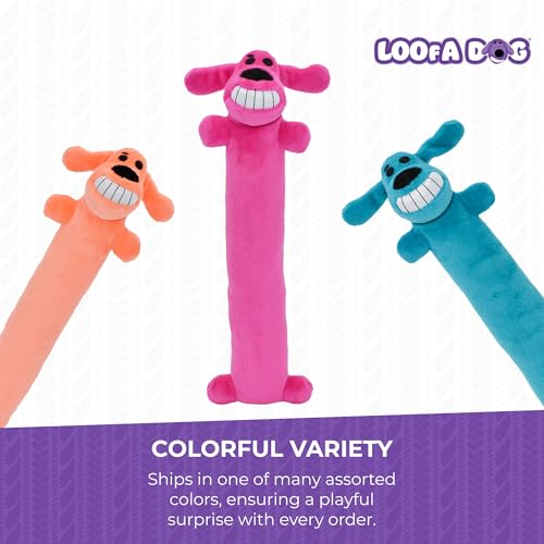 LOOFA DOG TOY - Thumbnail 4