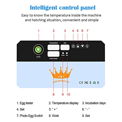 YJYQ Incubatrice di 35 Uova Incubatori