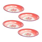 Cabilock 4 piezas Platos Esmaltados de Bandejas para Servir Fruta y Aperitivos Platos poco Profundos Vintage para Hogar y Restaurante