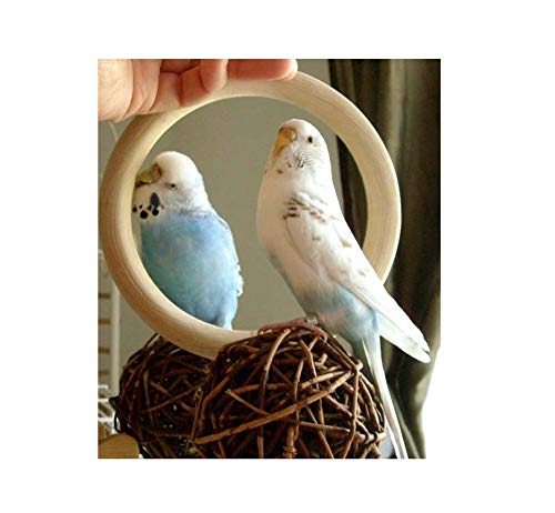 鳥好きっ！ Amazon.co.jp: 鳥に優しい木製ブランコ-ドイツ直輸入 とりきち