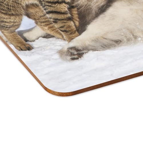 Set de table liège anti-rayure et tache - 4 napperons souples chien chat neige