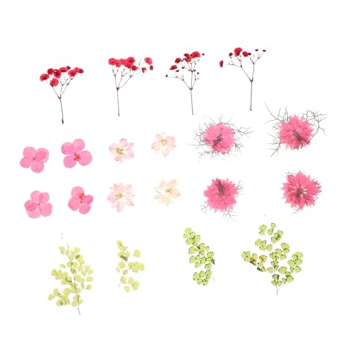 30 piezas de flores secas prensadas para decoración DIY
