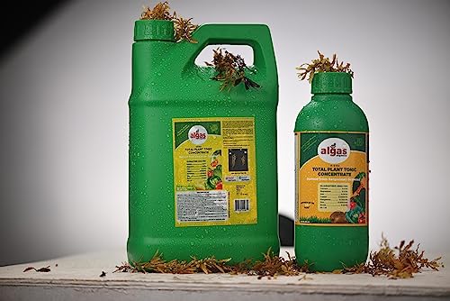 Algas Organics Liquid Vegetable Fertilizer & Hydroponic Plant Food Made From Sargassum Seaweed For Correcting Micronutrient Deficiencies Faster Growth Biggest Blooms- 1 Gallon #TOP1