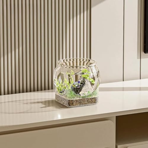 CokBlu~j  ϗtApe팓p e t@bVfUC /ItBX/rOp ^e[uZbg ƒpybgpi L?