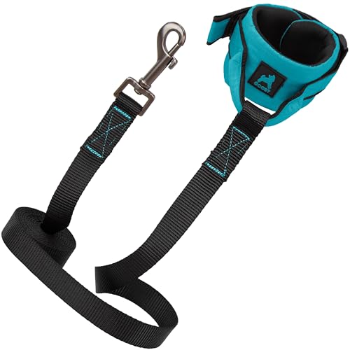 Image of Gooby Ripstop Z Wristband Surfer Leash, Turquoise, 6 FT | Hands-free wristband; Ripstop scratch-resistant; 6 ft; Adjustable hook-and-loop fastener; Match your harness