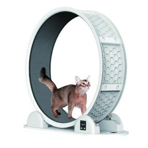 Amazon | ○B-blast キャットホイール ビーブラスト 猫用品 おもちゃ