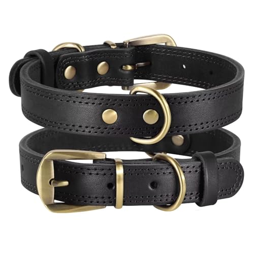 Didog {vp ^p \tg & v ϋv p ߉\Ȍp U[ ͂ȃ^obNtAubNAM