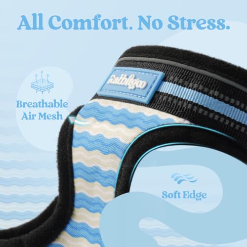 Image of rabbitgoo Cat Harness and Leash Set, Step-in Soft Vest, Blue Wave | Escape Proof, Lightweight, Easy-on & Adjustable, Hook & Loop with Buckle, Reflective, for Kittens & Small Cats Walks, M