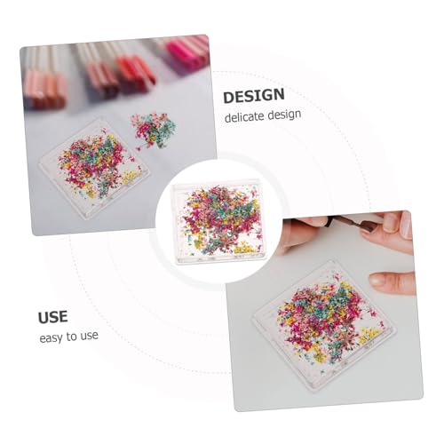 Decoración floral seca para uñas con caja portátil miniatura 2
