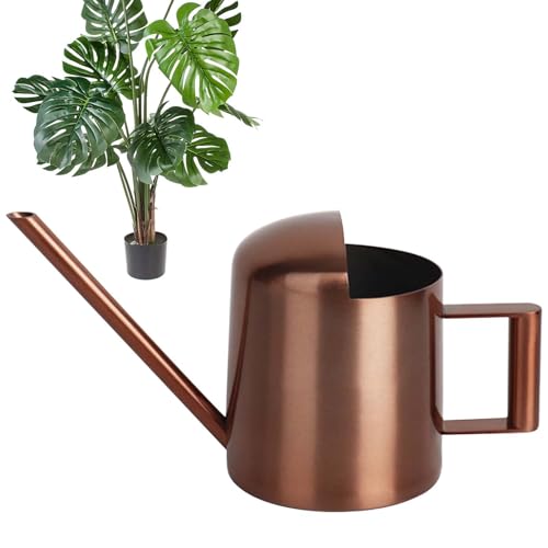 300ml Mini Gießkanne, Gießkanne mit Edelstahl Ausguss, Gießkanne Zimmerpflanzen, Langer Auslauf Giesskanne, Gießkanne Klein mit Komfort Griff für Den Zimmerpflanzen, Balkonpflanzen Blumengießkanne